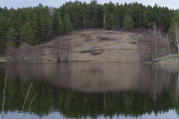 Obraz premium Reflection in the water