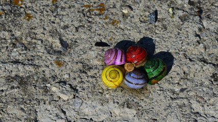 creative snails