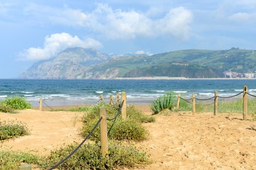 Coastal flora protected by a rope fence at the beach