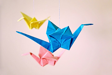 Symbol of peace, faith, paper colorful cranes. Origami, blue, yellow, purple, pink