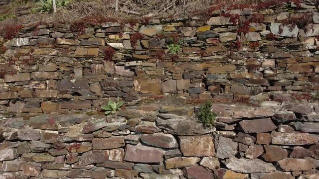 Moseltal bei Valwig,  Apolloweg im Fr&uuml;hling, Weinbau und Brachen
