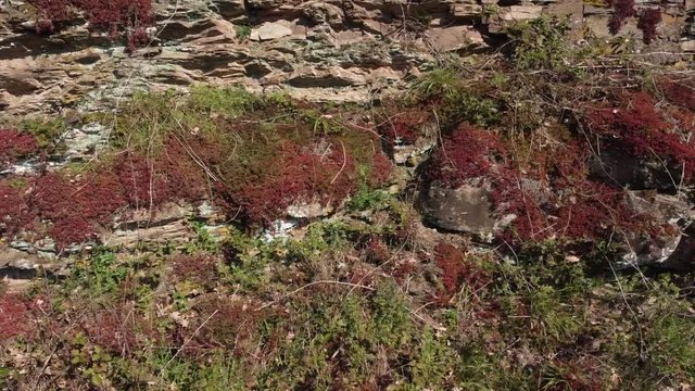 Moseltal bei Valwig,  Apolloweg im Fr&uuml;hling, Weinbau und Brachen