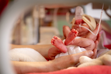 Obraz na płótnie Canvas Premature newborn baby in incubator, ICU
