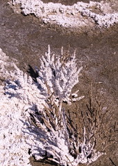 Kalush, Ukraine, 2020: Potassium salts withdrawal from soil. Gray soil, ore.