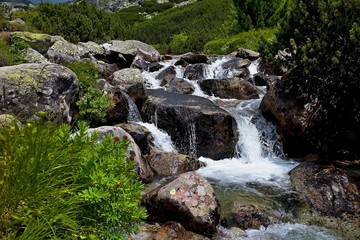 Stones in the mountain stream flowing under Skok waterfall in Mlynicka valley. © Stanislav