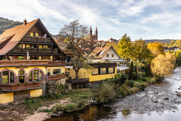 Houses and church in Forbach village