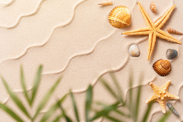 Fototapeta na wymiar summer beach background with shell, sea star and blurred Palm, vacation and travel concept, Flat lay top view copy space, Minimal exotic concept. Creative layout of sand waves.
