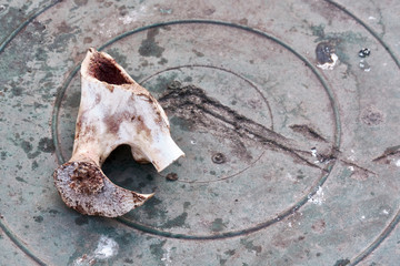 swallowed bone on the street