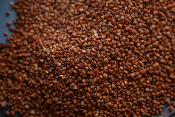 Buckwheat with toilet paper, popular things in coronovirus
