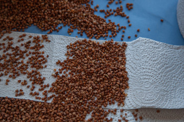 Naklejka premium Buckwheat with toilet paper, popular things in coronovirus 