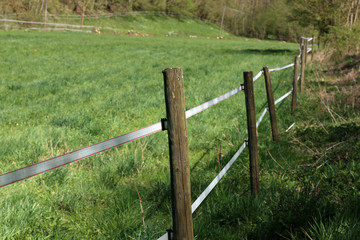 Fototapeta na wymiar close up of a electrical wire fence around a pasture