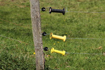 close up of a electrical wire fence around a pasture