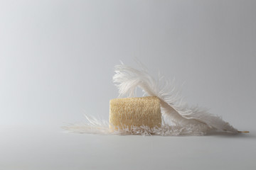 Natural ecological loofah designed for the body and two white beautiful soft feather on a white...