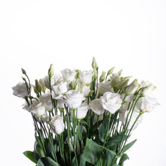 Bouquet of white eustomas on a white background.