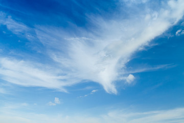Fototapeta na wymiar Cloud looks like a phoenix bird.