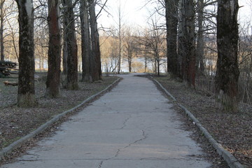 landscape alley in the Park and a pond 