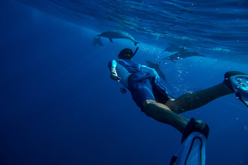 A family of wild dolphins playing in the clear ocean waters. Mauritius, Indian Ocean