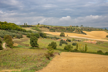 Val d'Orcia Toscana. Empty fields with yellow soil, green meadows, cypresses