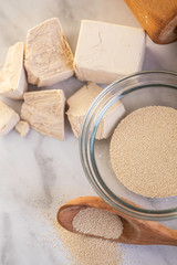 ingredients for baking Dry yeast crumbled and yeast block for baking.