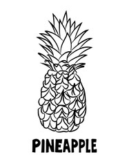 A pineapple with the leaves and peel. A tropical fruit is hand-drawn and isolated on a white background. Black- white vector illustration in Doodle style. Pineapple sketch in the style of a free hand.