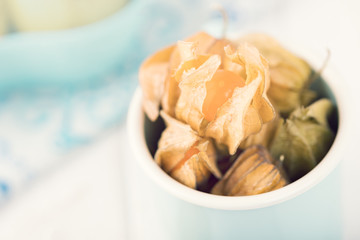 Winter cherries or physalis or golden berry in enameled cup. Toned photo. Copy space