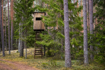 Hunters hut in the forest. Hunter tower or watch post in the wilderness. Elevated wooden structure