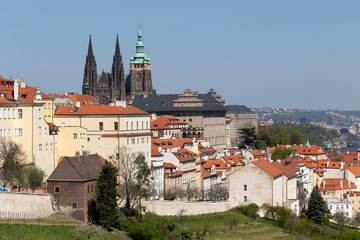 Obraz premium Spring Prague City with gothic Castle and the green Nature and flowering Trees from the Hill Petrin, Czech Republic
