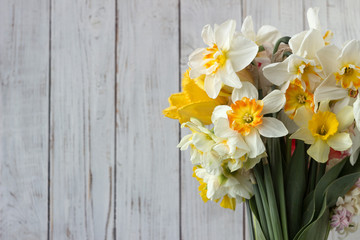 Bouquet of beautiful daffodils of different types and tulips, background. Spring flowers, terry and yellow stamens daffodils.