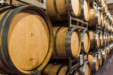 Oak wine barrels for wine fermentation at a winery
