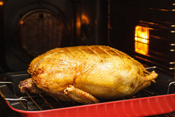 Christmas duck in a deep pan with grill rack, prepared meal for celebration dinner