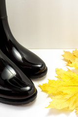 Black rubber boots and a maple leaf on a white background.