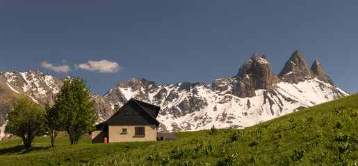 Landscape with flores on the foreground and mountains Croix de Fer on the background in the French...