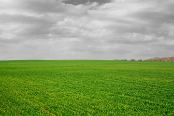 a green field and a cloudy sky