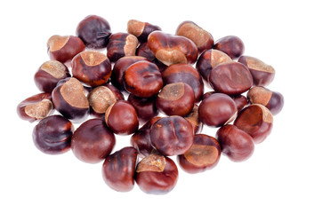 Peeled fruits Aesculus on white background