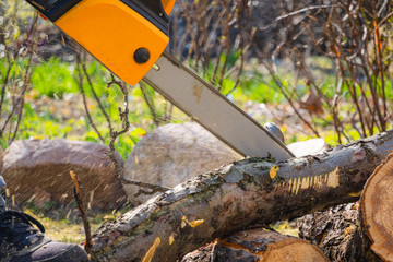 Men sawing apple tree with a chainsaw in his backyard. Worker pruning tree trunk in the garden