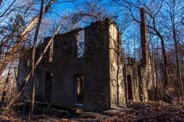 ruins in the woods