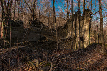ruins in the woods