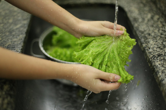 Higieniza&ccedil;&atilde;o de vegetais org&acirc;nicos proveniente de agricultura familiar, em tempos de pandemia causada pelo Covid19 (corona v&iacute;rus) 