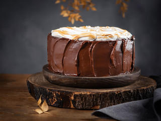 Delicious homemade chocolate cake with Meringue Topping over rustic table with space fot text. Selective focus. Thanksgiving  Autumn station cake concept.