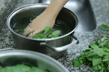 Higienização de vegetais orgânicos, provenientes de agricultura familiar, em tempos de pandemia causada pelo corona vírus (covid19)