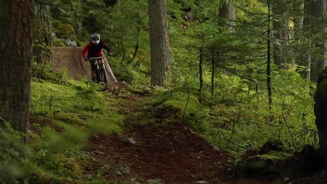 Man riding downhill mountain bike in Whistler forest.
