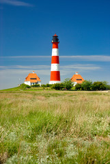 Fototapeta na wymiar Westerhever lighthouse with salt meadow