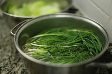 Cebolinha - Higienização de vegetais orgânicos, provenientes de agricultura familiar, em tempos de pandemia causada pelo corona vírus (covid19)