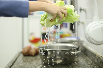 Alface - Higienização de vegetais orgânicos, provenientes de agricultura familiar, em tempos de pandemia causada pelo corona vírus (covid19)