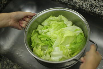 Alface - Higienização de vegetais orgânicos, provenientes de agricultura familiar, em tempos de pandemia causada pelo corona vírus (covid19)