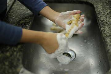 Higieniza&ccedil;&atilde;o de vegetais org&acirc;nicos, provenientes de agricultura familiar, em tempos de pandemia causada pelo corona v&iacute;rus (covid19)