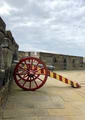 cannon on the fortress wall