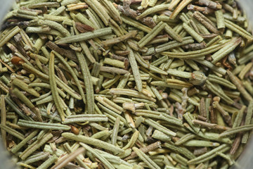 Alecrim, a erva que alegra a alma, é usada desde a antiguidade para cura e tratamento de diversas doenças.