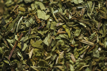 A hortelã comum, conhecida cientificamente como Mentha spicata, é uma planta medicinal e...