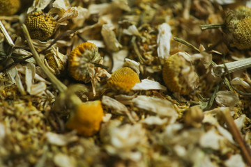 A camomila é uma das mais antigas plantas medicinais usada pelo homem como um remédio natural para aliviar várias doenças. 